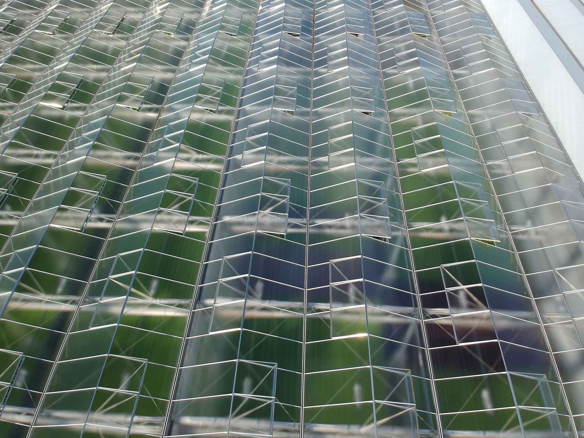 Greenhouse glass roof with automated vents propped open